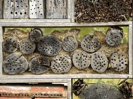 Hilfe für Bienen