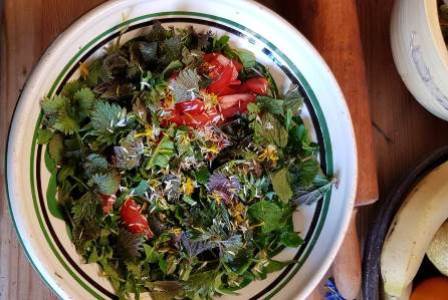 Wildkräutersalat