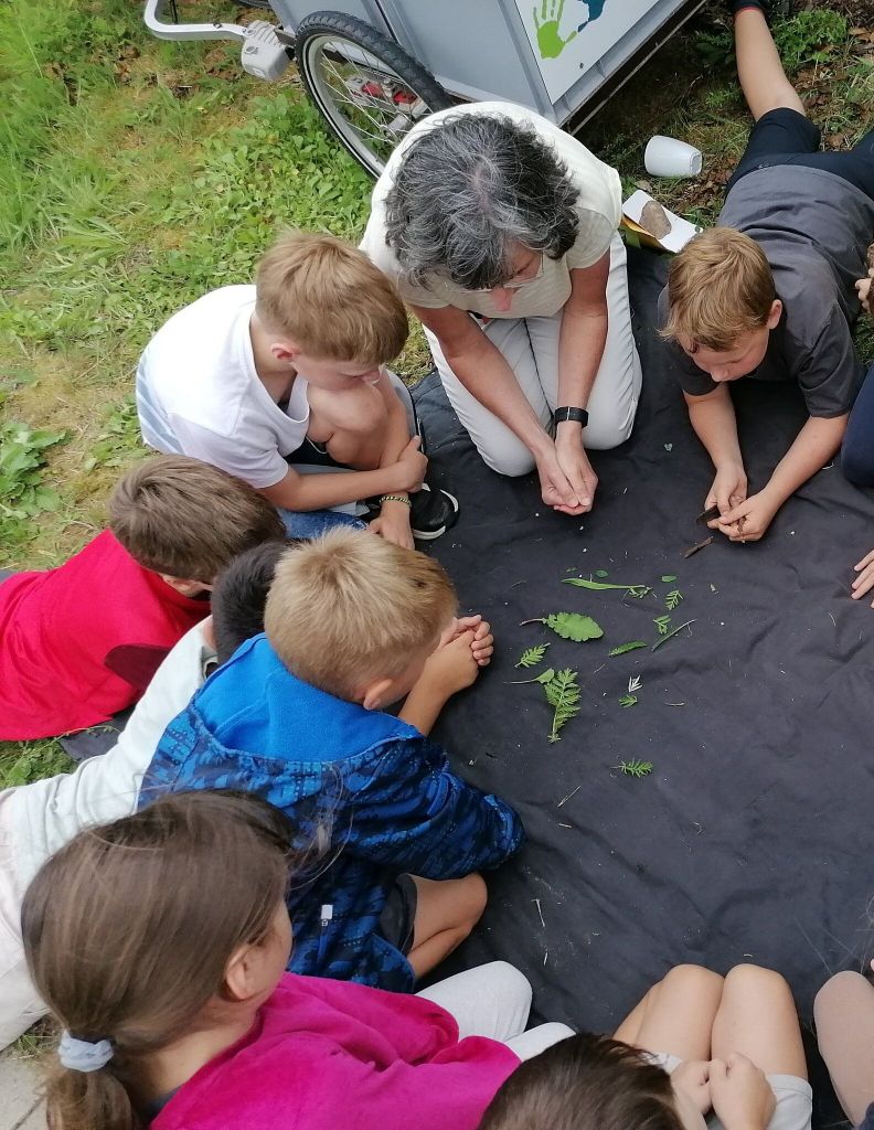Wildwiesenerkundung mit Grundschülern